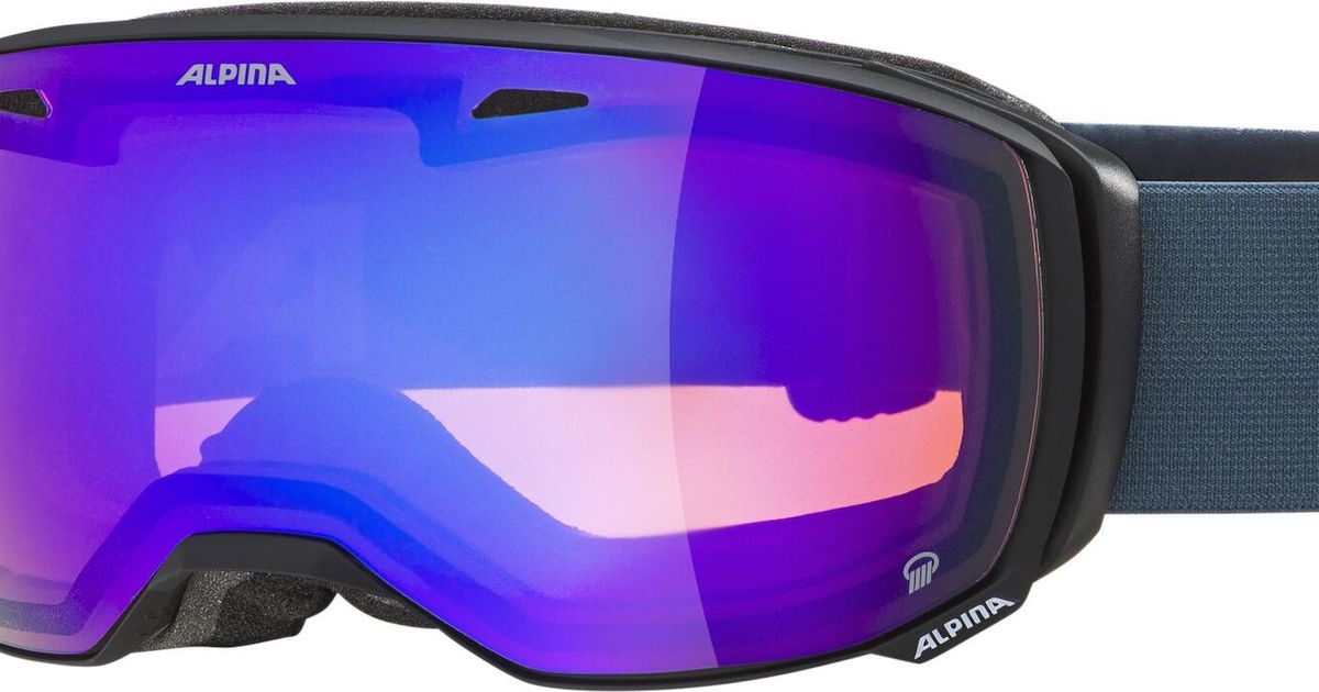 Alpina Nakiska DH Skibril Unisex - Volwassene Met Doubleflex & Hicon Contrastverhoging