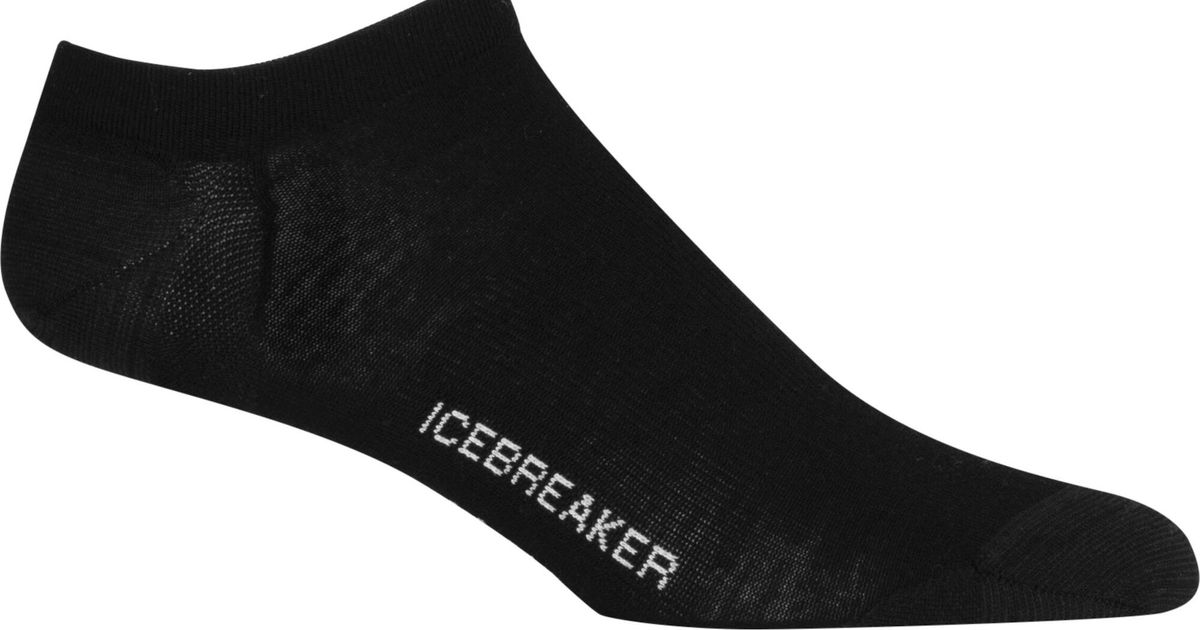 Icebreaker Merino Lifestyle Fine Gauge Crew IB - Multifunctionele
