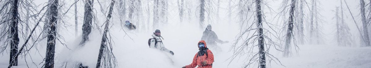 Freerider im Tiefschnee zwischen verschneiten Bäumen