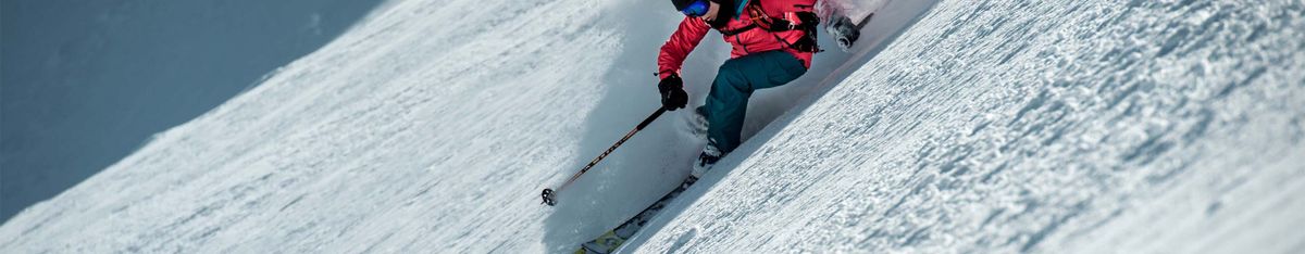 Freeride-Skistöcke