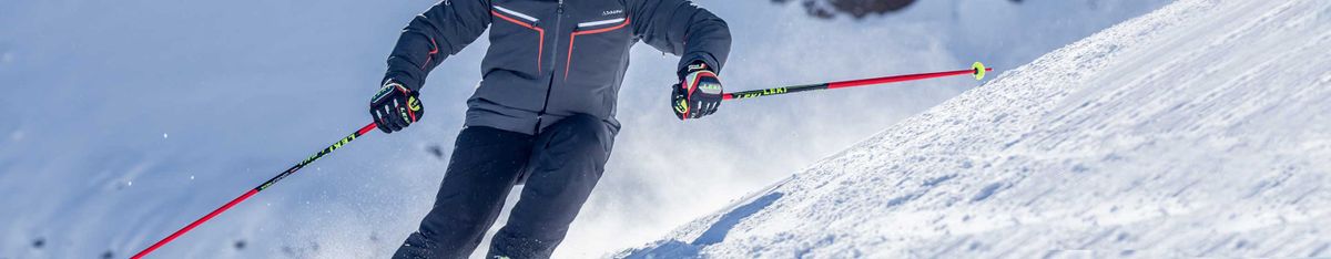Ski Poles