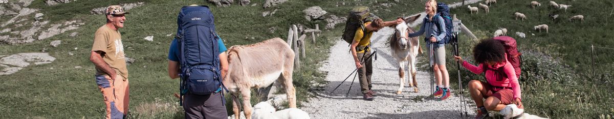 Trekking- und Reiserucksäcke 