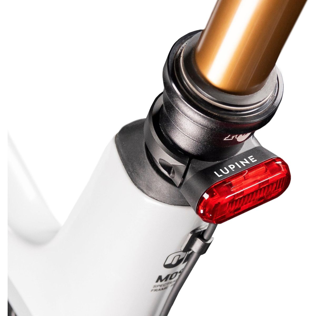 Lupine C14 SP mit BL neutral 794X