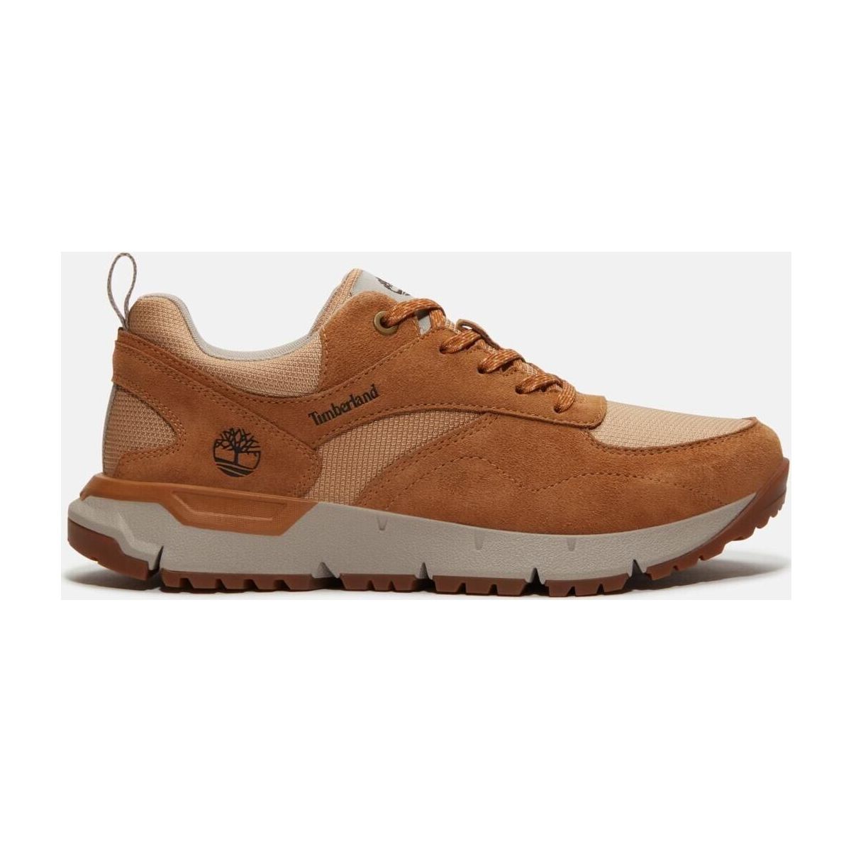 Timberland Mens Low Lace UP Sneaker wheat mesh 12 TB0A6DTEEDM1-12