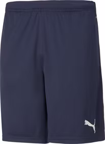 Teamrise Training Shorts
