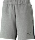 Teamcup Casuals Shorts