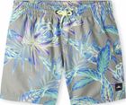 Cali Print 13'' Swim Shorts