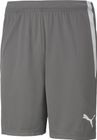 Teamliga Shorts