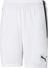 Teamliga Shorts