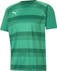 Teamvision Jersey