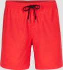 Cali 16'' Swimshorts