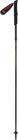 Pole Trail Carbon