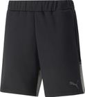 Teamcup Casuals Shorts