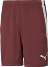 Teamliga Shorts