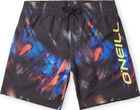 Cali Rutile 14'' Swim Shorts