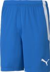 Teamliga Shorts