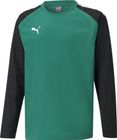 Teamliga Training Sweat Jr