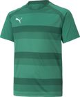 Teamvision Jersey Jr