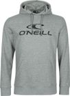 O'neill Logo Hoodie