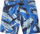 Cali Print 13'' Swim Shorts