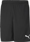 Teamrise Training Shorts