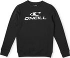 Logo Crew Sweatshirt