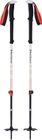 Expedition 2 Ski Poles