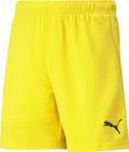 Teamrise Short Jr