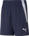 Teamliga Shorts Jr