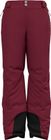 The Ski Bluebird S-thermic pants.
