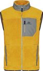Men Glacier Pile Vest