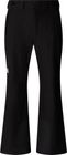 Mens Descendit Pant