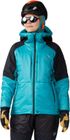 Compressor Alpine Hooded Jacket