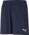 Teamrise Training Shorts Jr