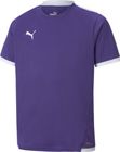 Teamliga Jersey Jr