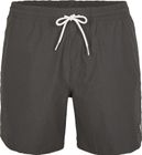 Vert Camorro 16'' Swim Shorts