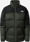 Womens Diablo Down Jacket