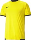 Teamliga Jersey