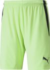 Teamliga Shorts