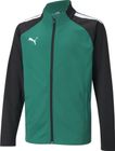 Teamliga Training Jacket Jr
