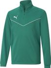 Teamrise 1/4 Zip Top Jr