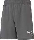 Teamrise Short Jr