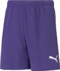 Teamrise Short Jr