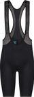 Dinamico (hikari )bib Shorts