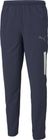 Teamliga Sideline Pants