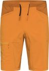 ROC Lite Standard Shorts Men