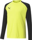 Teampacer GK LS Jersey Jr