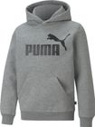 Essentials Big Logo Hoodie FL B