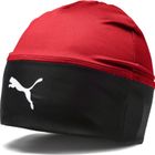 Liga Beanie