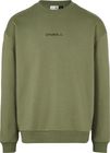 Future Surf Society Sweatshirt